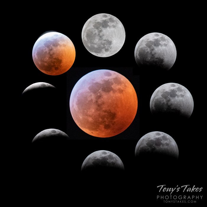 Next Total Lunar Eclipse After 2025