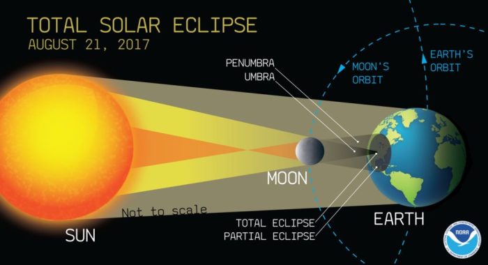 Total Eclipse 2025 Fun Facts