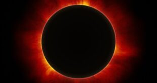 Total Solar Eclipse 2025 Clipart